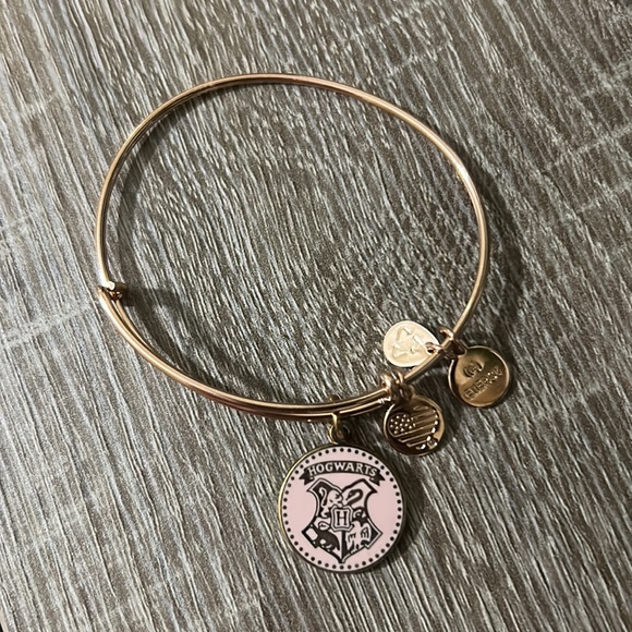 Purse + Alex and Ani 3 Bracelet Bundle. FREE Iron-on Hedwig patch & Dobby Plush - Picture 8 of 16
